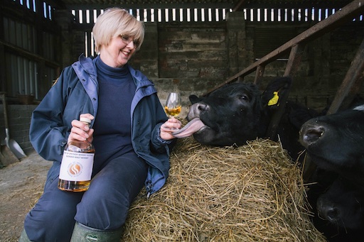 Monday 28th March 2016, Aberdeen, Scotland, SOSWF urging cattle farmers to follow the lead of Japanese producers of Kobe beef, but instead of drinking beer, Speyside cattle will be fed draff from distilleries, drink whisky, and will have traditional Scottish music played to them. Pictured: Ann Miller, Spirit of Speyside Whiskey Festival. (Photo: Ross Johnston/Newsline Media)