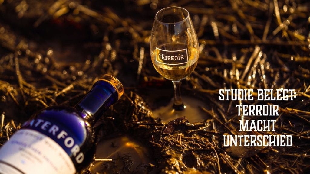 Waterford Studie: Terroir Matters belegt