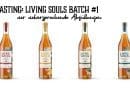 Living Souls Batch 1