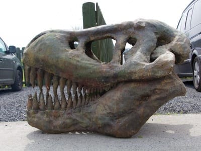 Dinosaurier