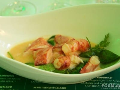 Ragout vom Hummer