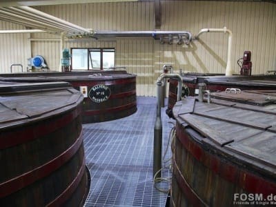 Balvenie Washbacks