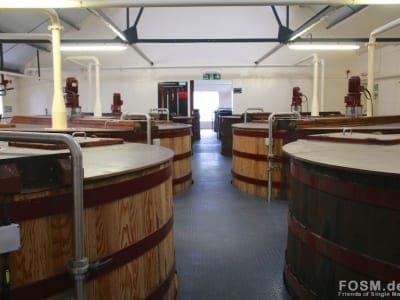 Kininvie Washbacks