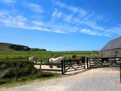 Kilchoman Farm