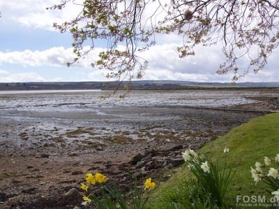 Blick Cromarty Firth - südlich