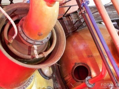 Spirit Still - Schwanenhals mit Cooler