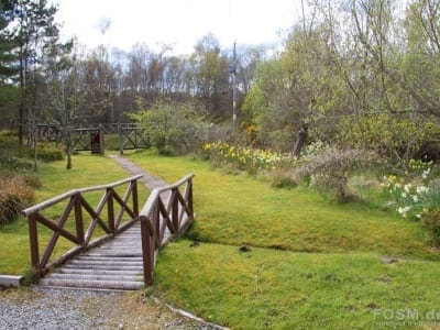 Glenmorangie - Weg zur Tarlogie Spring