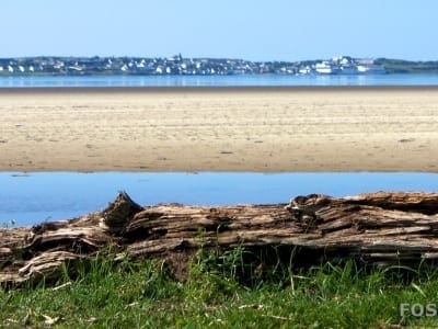 Loch Indaal - Blick Richtung Bowmore