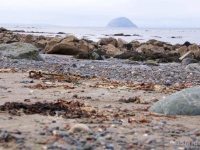 Ailsa Craig