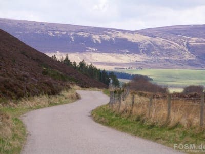 Single Track Road
