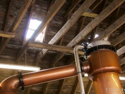 Daftmill - Schwanenhals