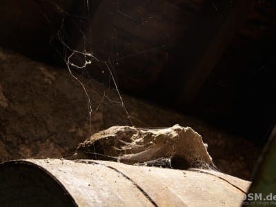 Ardmore Distillery Warehouse 3