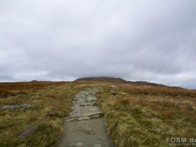 SRT18 - Ben Lomond