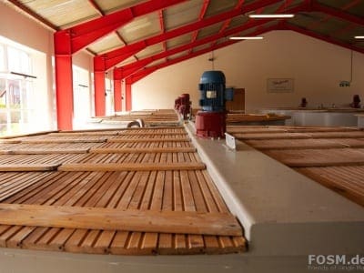 Glenfarclas Mash House - Wash Backs