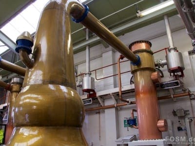 SRT18_Glengoyne_15.jpg