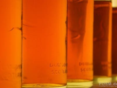 SRT18_Glengoyne_26.jpg