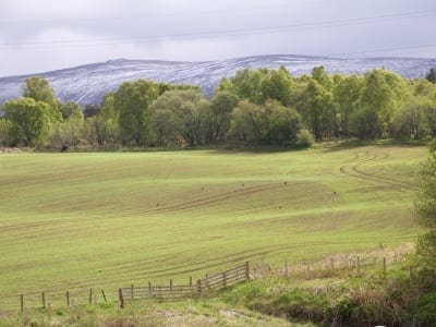 Benrinnes - Destillerie im Grünen