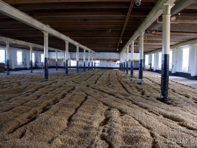 BenRiach - Malting Floor