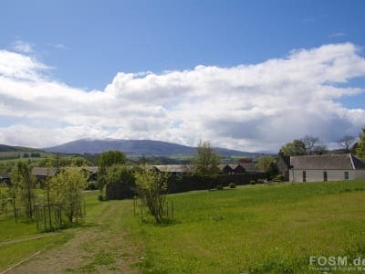 Macallan - Ben Rinnes