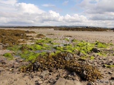 Loch Indaal Richtung Bowmore
