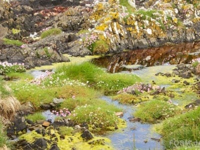 Loch Indaal bei Gartbreck