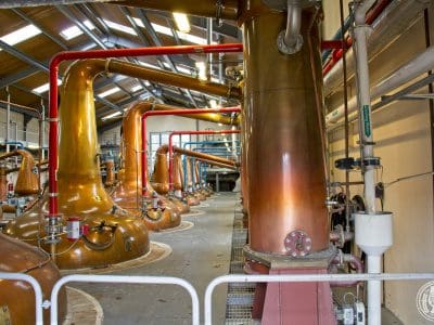 Glenfiddich_25.jpg