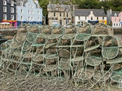Tobermory3.jpg