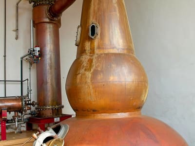 srt23_glendronach_27.jpg