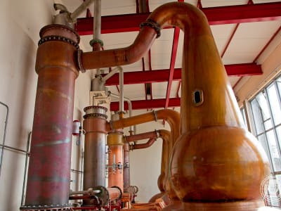 srt23_glendronach_34.jpg