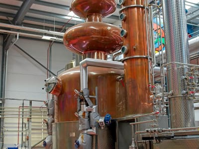 srt23_brewdog_09.jpg