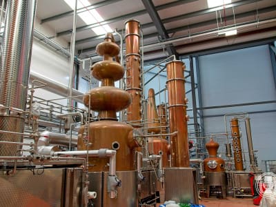 srt23_brewdog_10.jpg