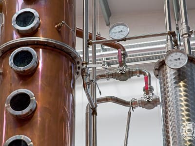 srt23_brewdog_12.jpg
