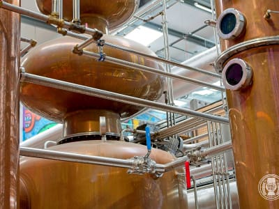 srt23_brewdog_15.jpg