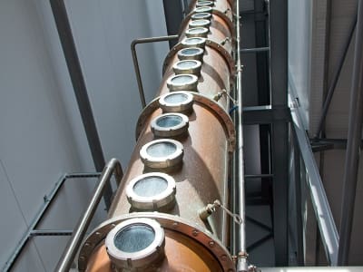 srt23_brewdog_16.jpg