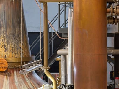srt23_fettercairn_31.jpg