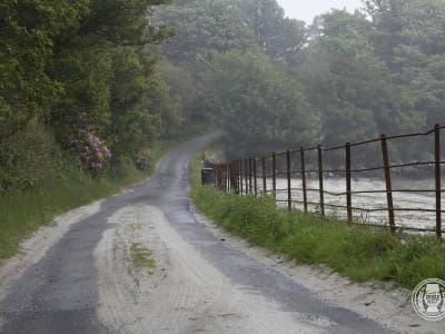srt24_Ueberblick_151.jpg