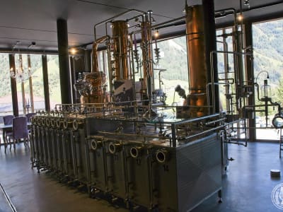 Mount_Becher_12.jpg