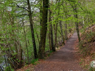 Killiekrankie
