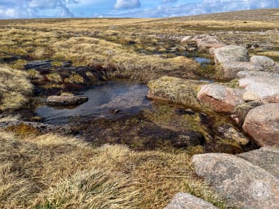 Cairn Gorm & Tour