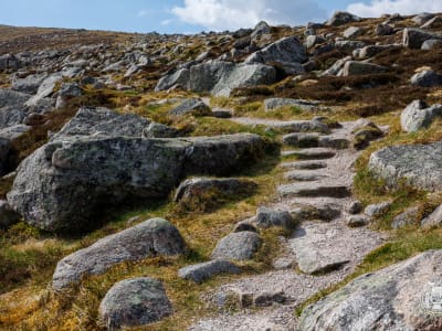 Cairn Gorm & Tour