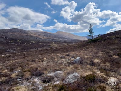 Cairn Gorm & Tour