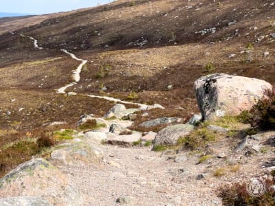Cairn Gorm & Tour
