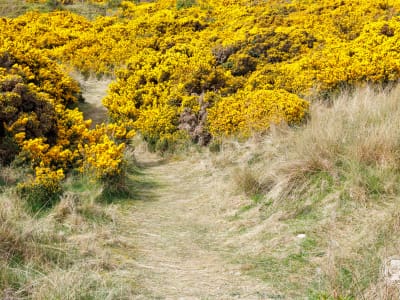 Findhorn Bay