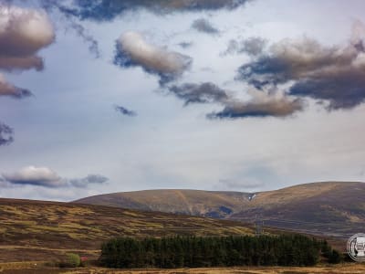 Dalwhinnie