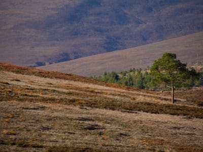 SOSWF - Roadtrip 2014 - Glenlivet Hill Trek