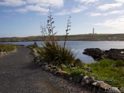 Coastal Path Portnahaven 1